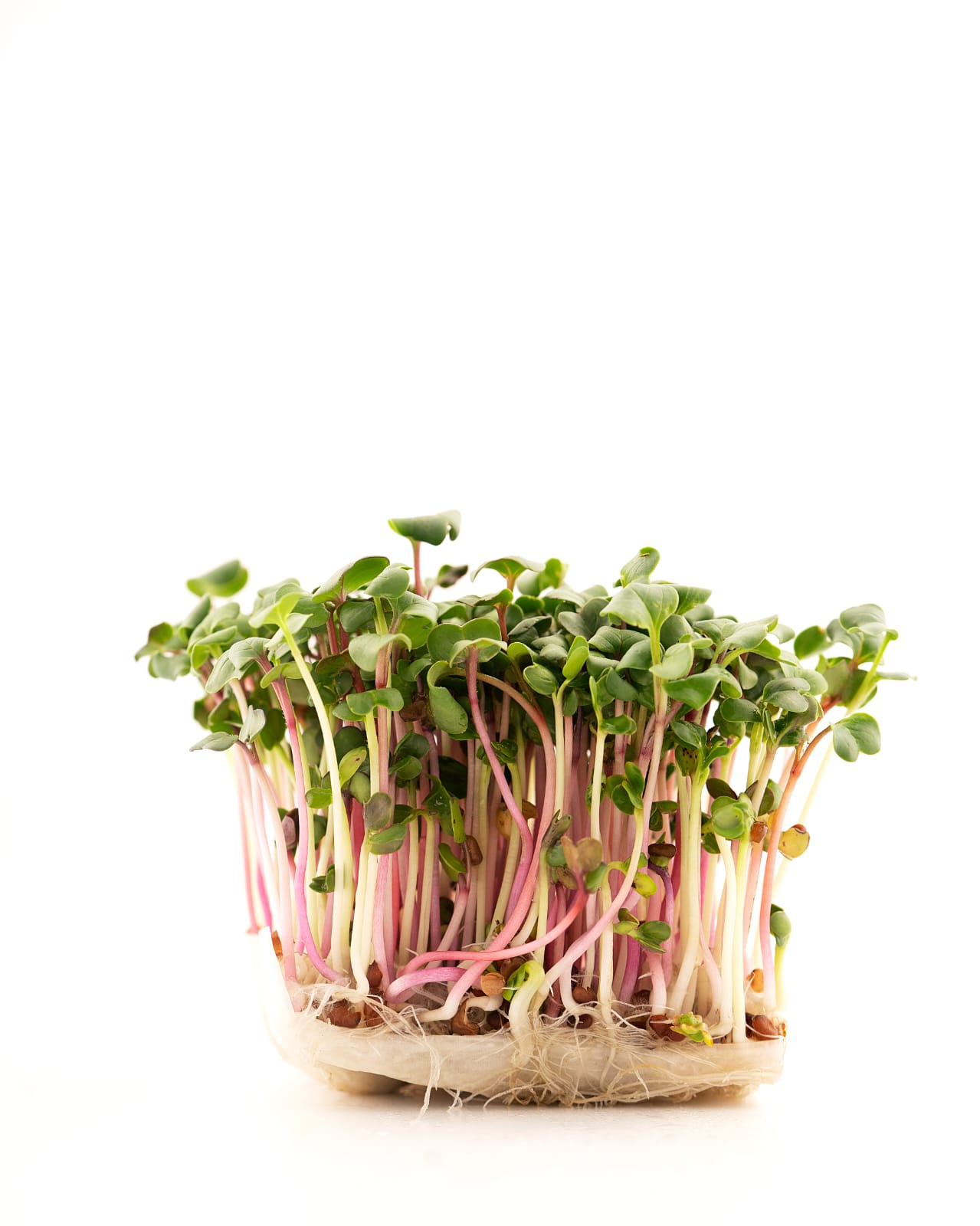 Ridiche Rose& Daikon